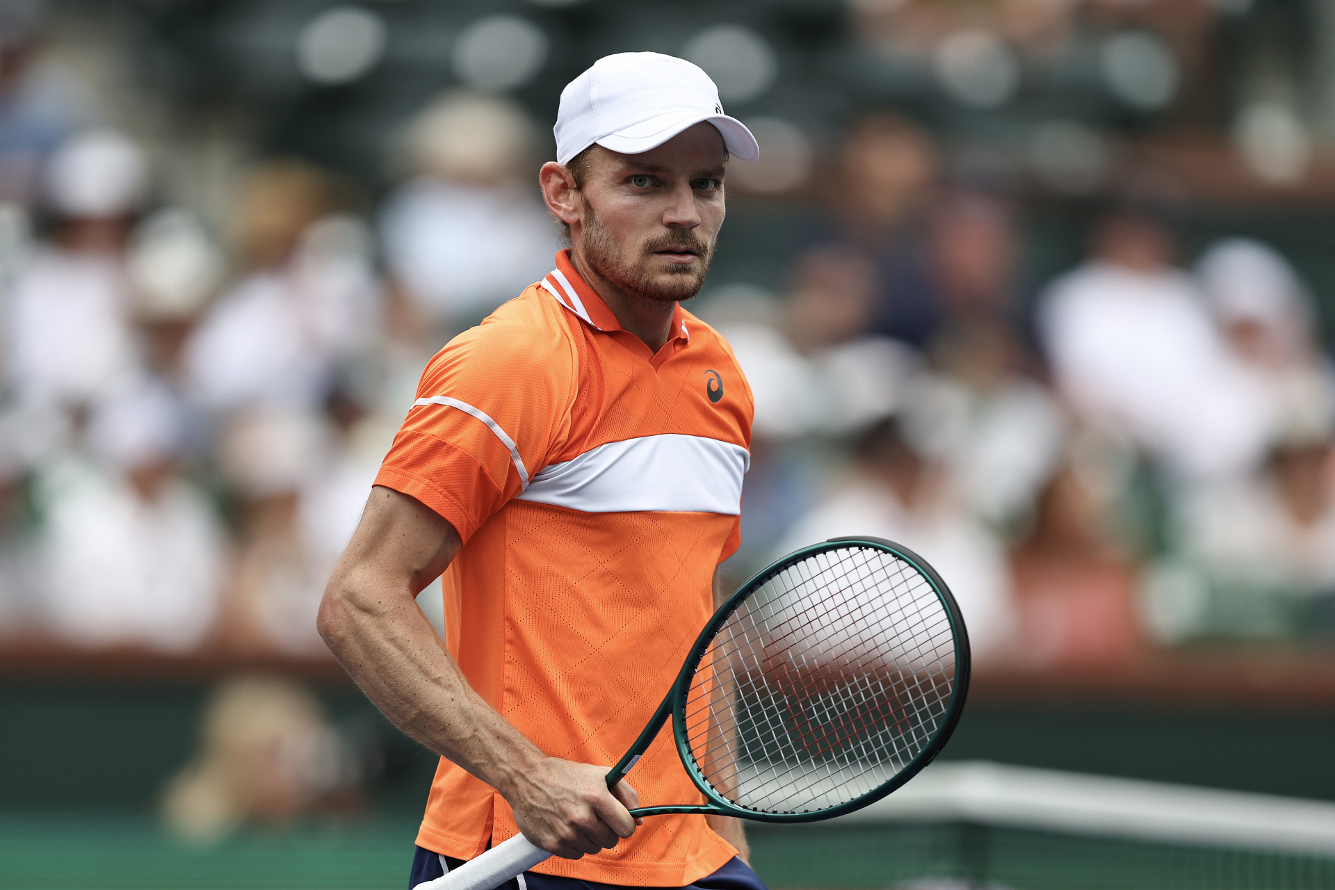 包含德国网球队翻盘英国网球队,穆雷高光表现的词条 包含德国网球队翻盘英国网球队,穆雷高光表现的词条