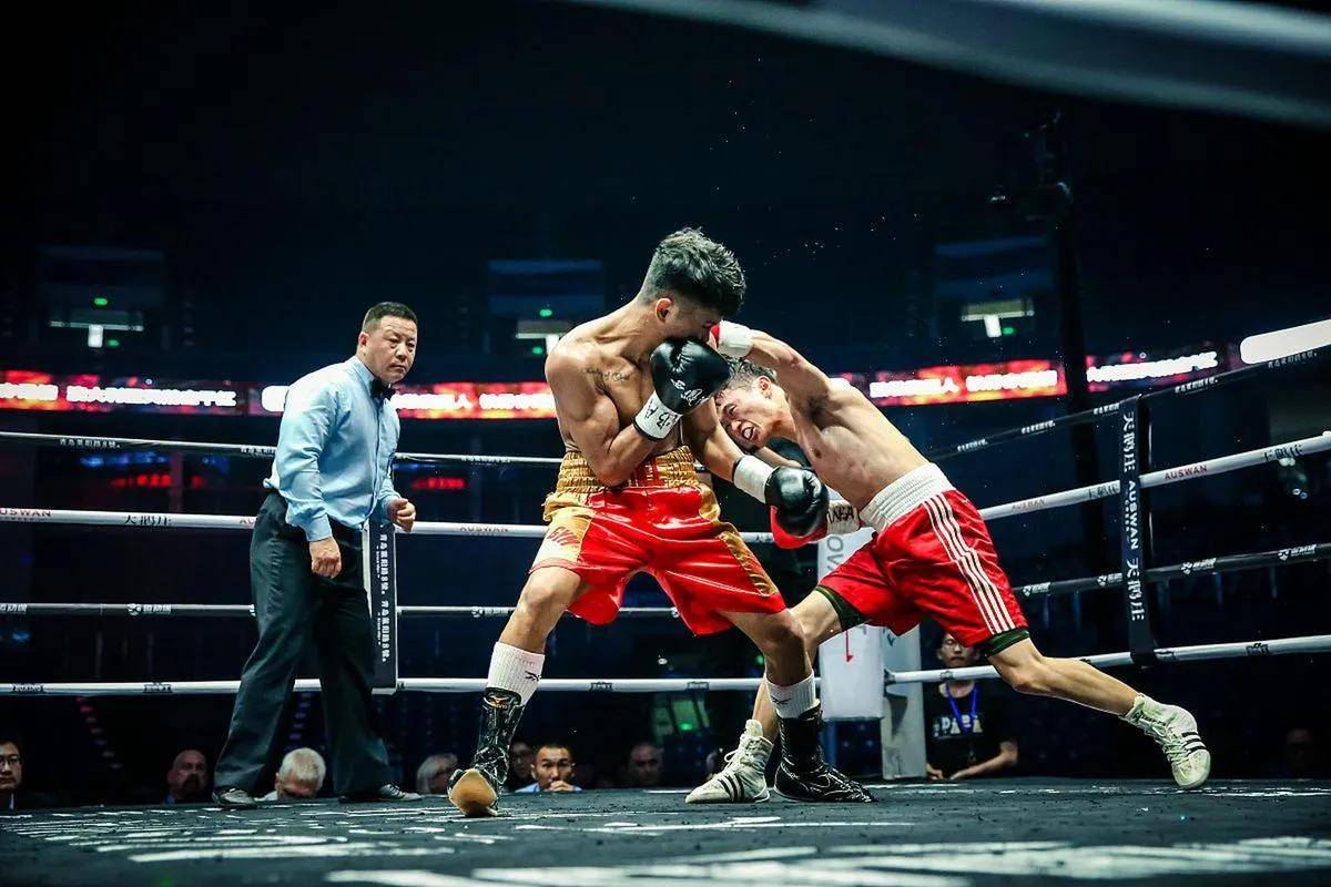 包含世界赛舞台，拳击代表国家出征荣耀的词条