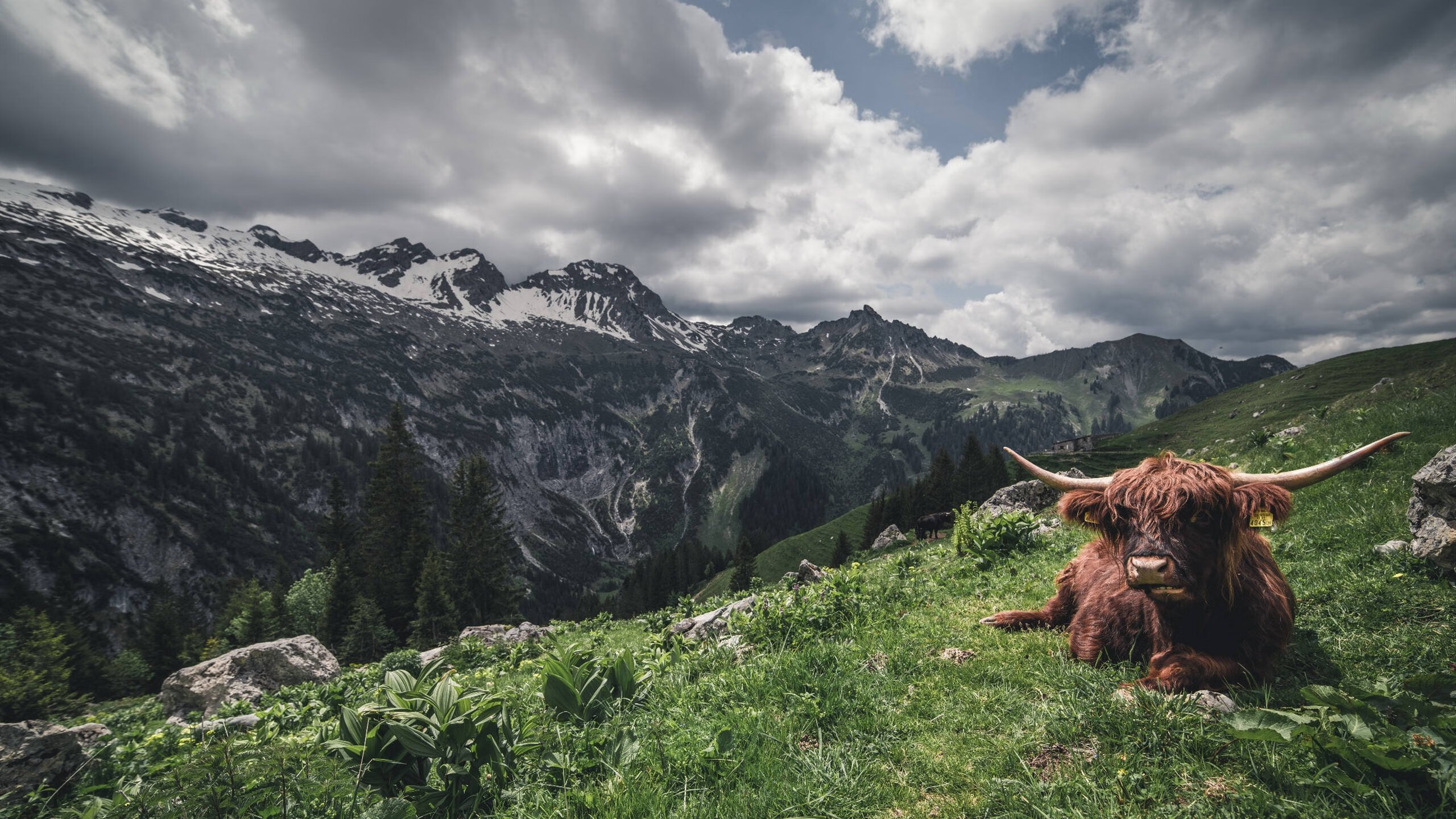 爱游戏官方入口-鹰击北岸花园，风城之血西决，当宿命在绝境中改写轨迹