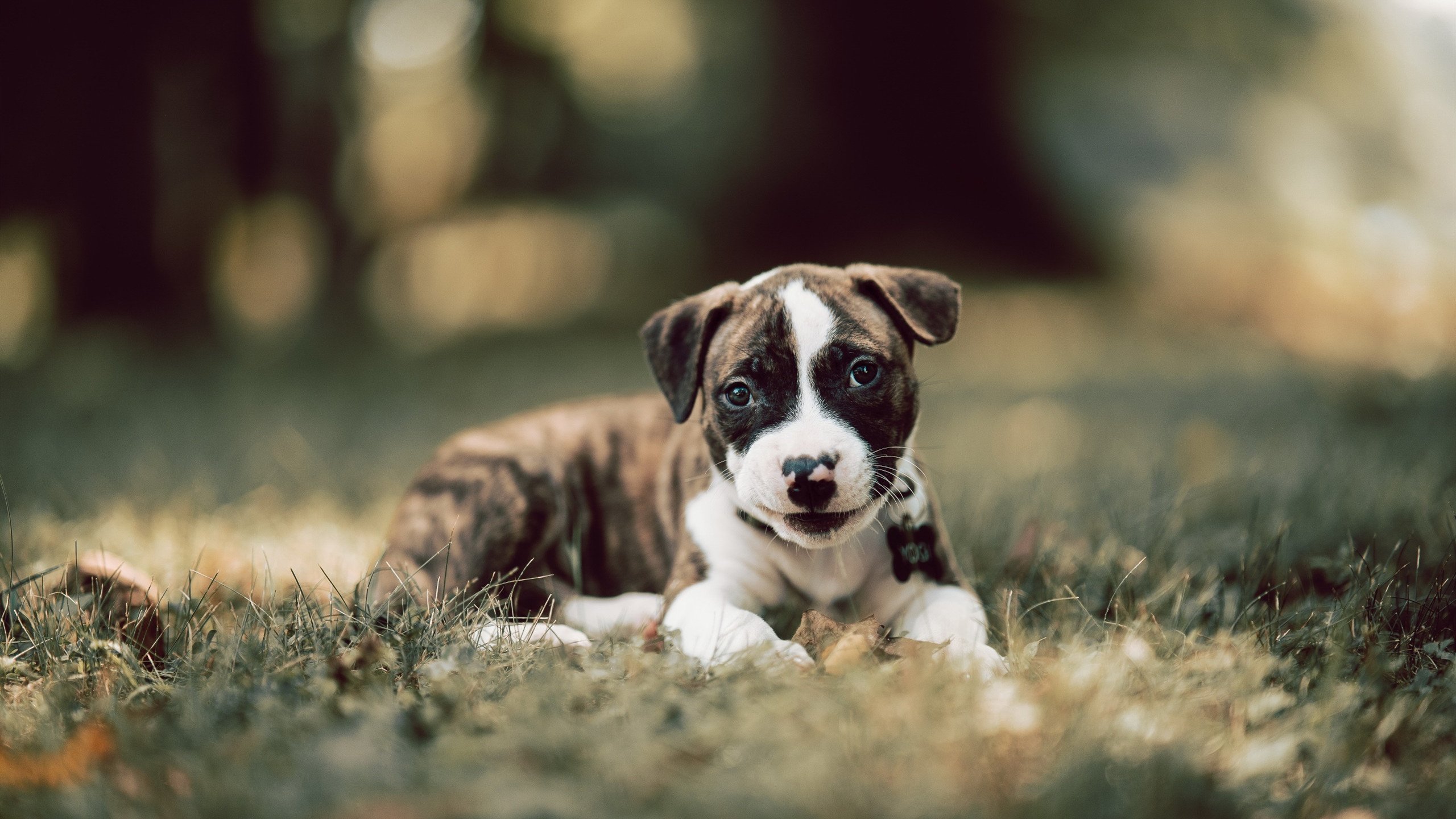 爱游戏官方-巅峰对话，东方铁壁困热火，银蛇杜兰特涅槃主宰