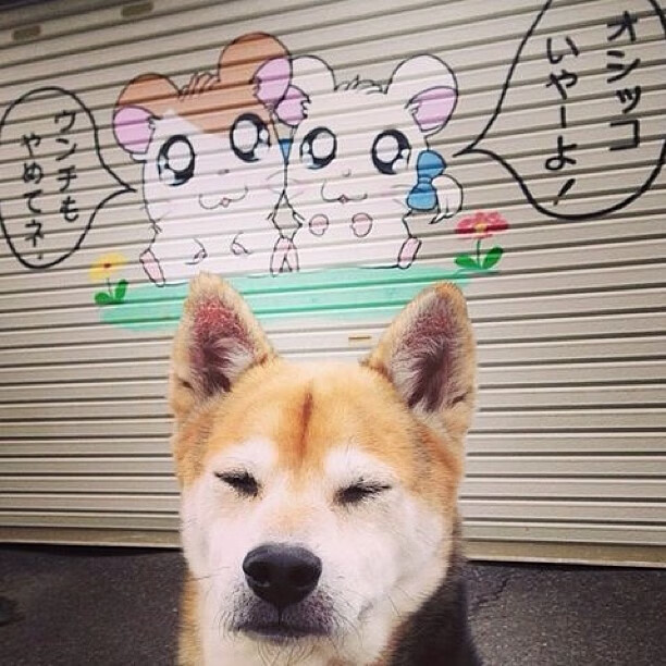 英格拉姆狂轰30+10统治全场,奇才主场稳稳击退马刺