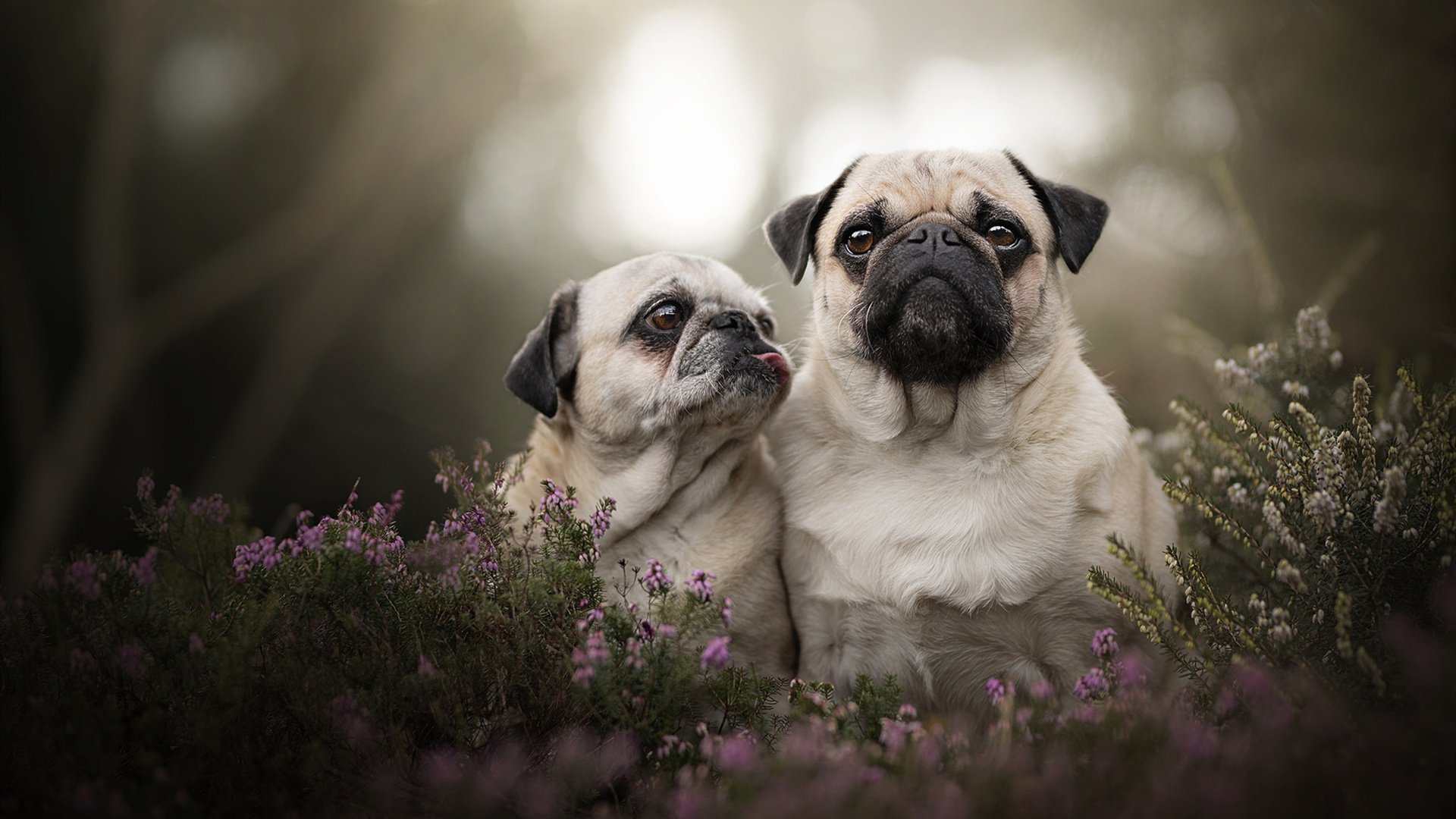 绝地逆转,奥亚尔萨瓦尔末节爆发,毕尔巴鄂主场奇迹带走切尔西