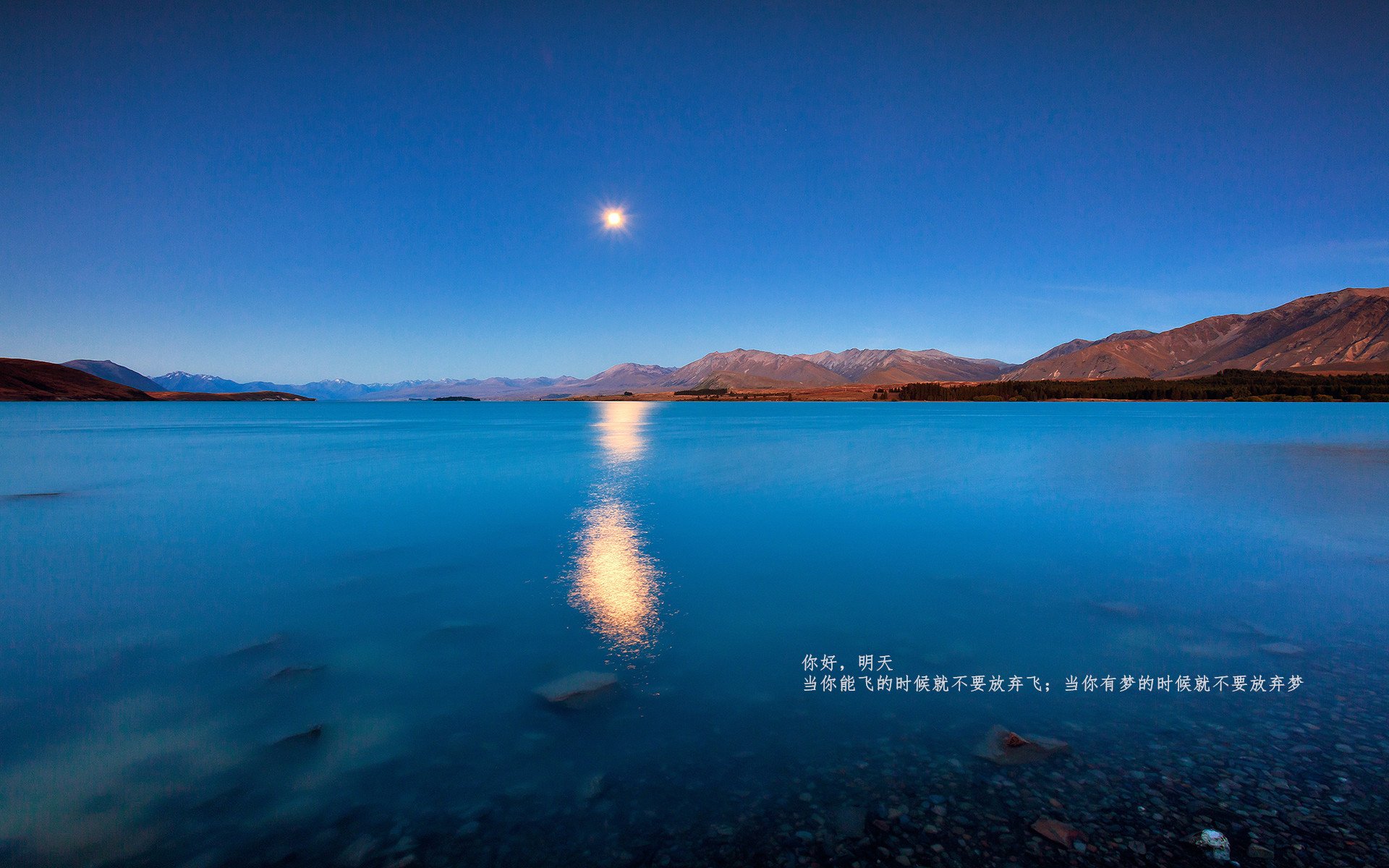 经典逆转,门迪教科书级表现助牙买加力克丹麦