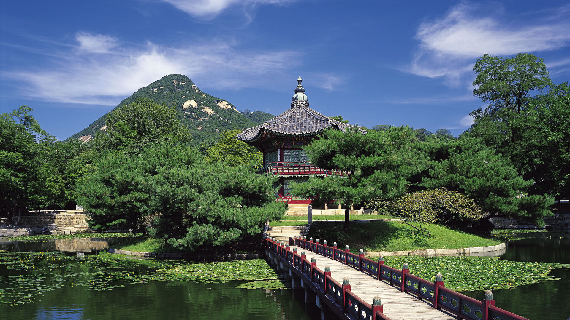 利拉德时间,当新奥尔良的天空划过夏洛特的蜂鸣