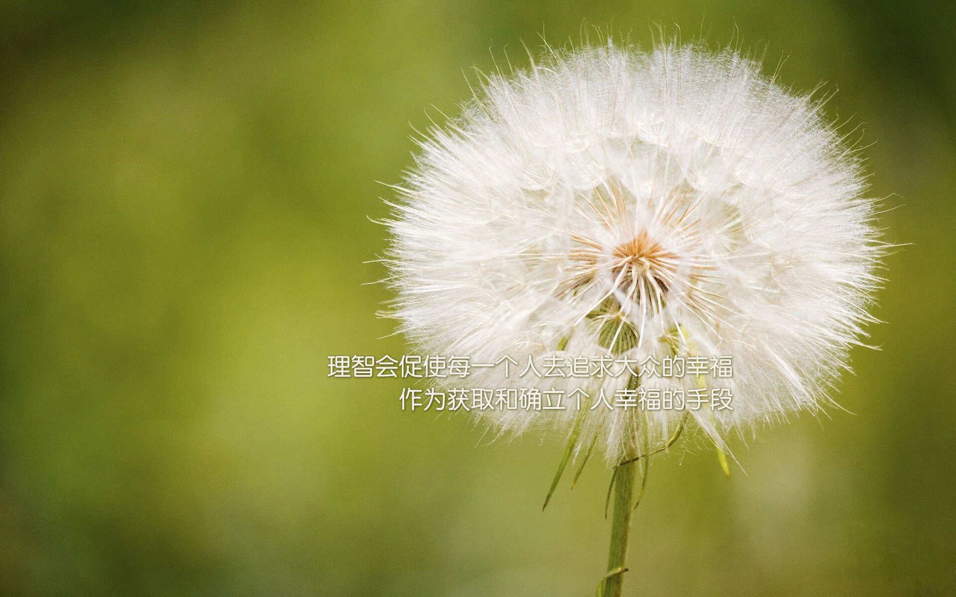 北欧神话的序章,当蓝黄闪电撕裂三狮军团—迪亚斯在2026世界杯的加冕之战