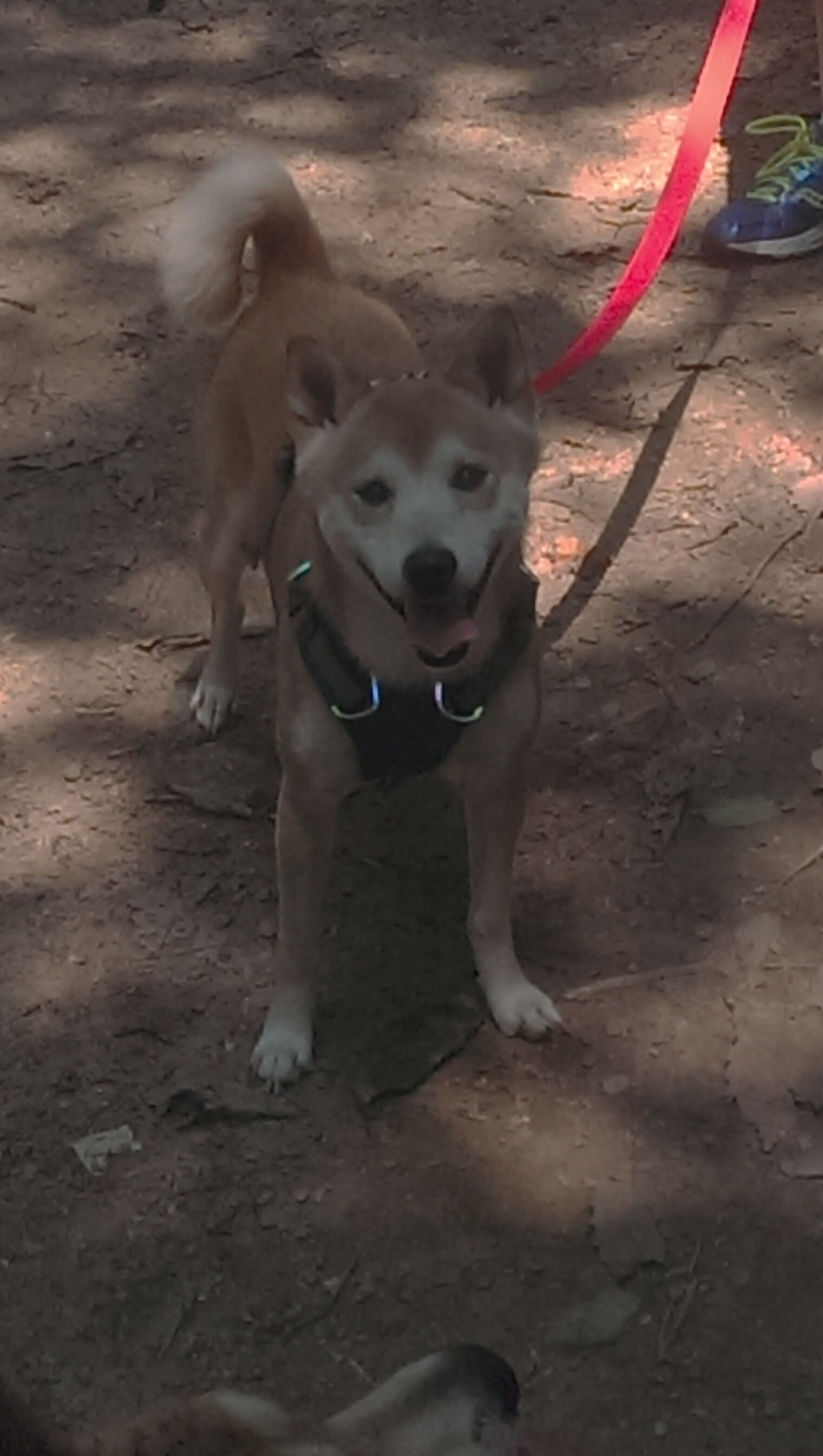 爱游戏娱乐-扩展思维，文章标题