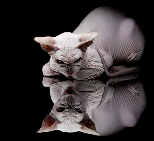 暴风雨前夕，当亚特兰大的神话降落在都柏林的现代足球场