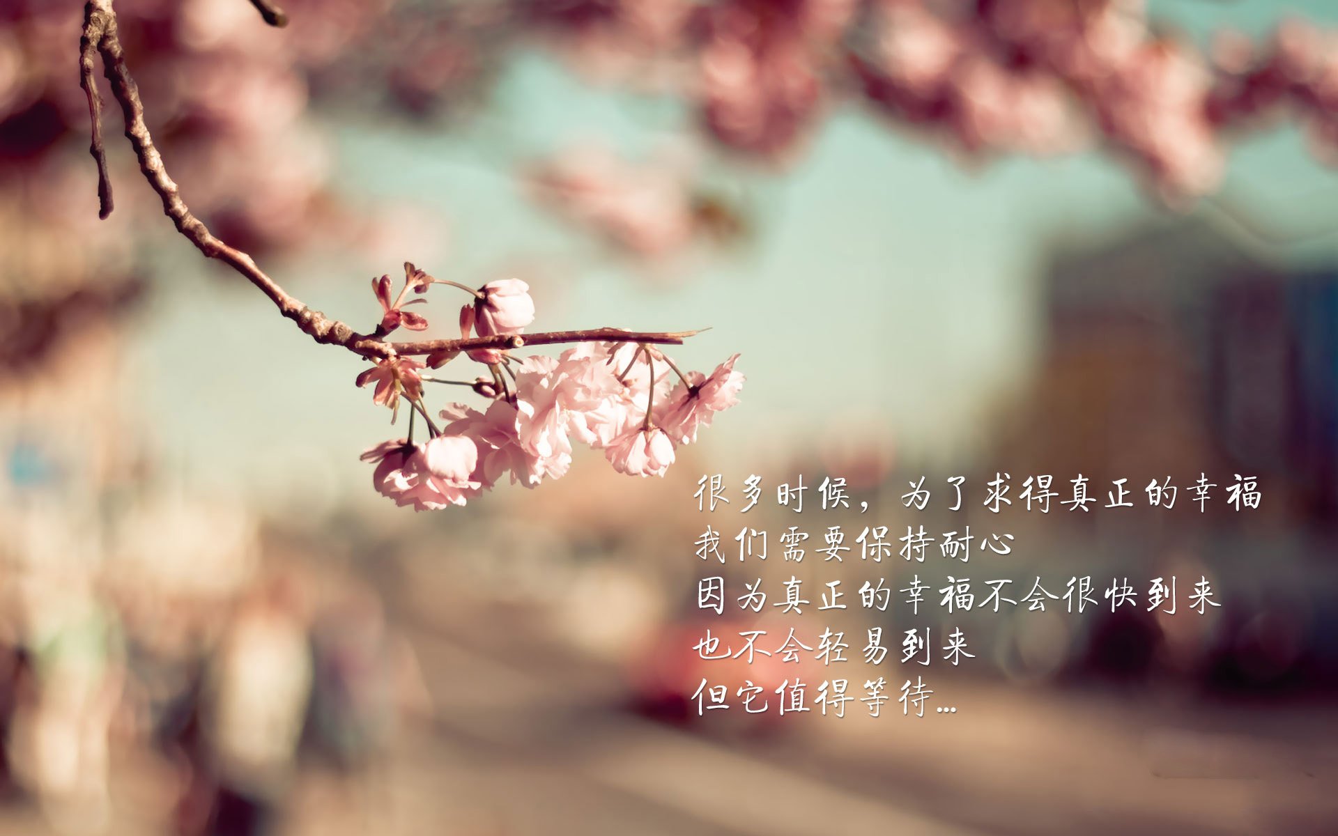 下一秒,改变一切,2026世界杯揭幕战上,贝林厄姆的致命一击如何让哥伦比亚大胜挪威成为传奇