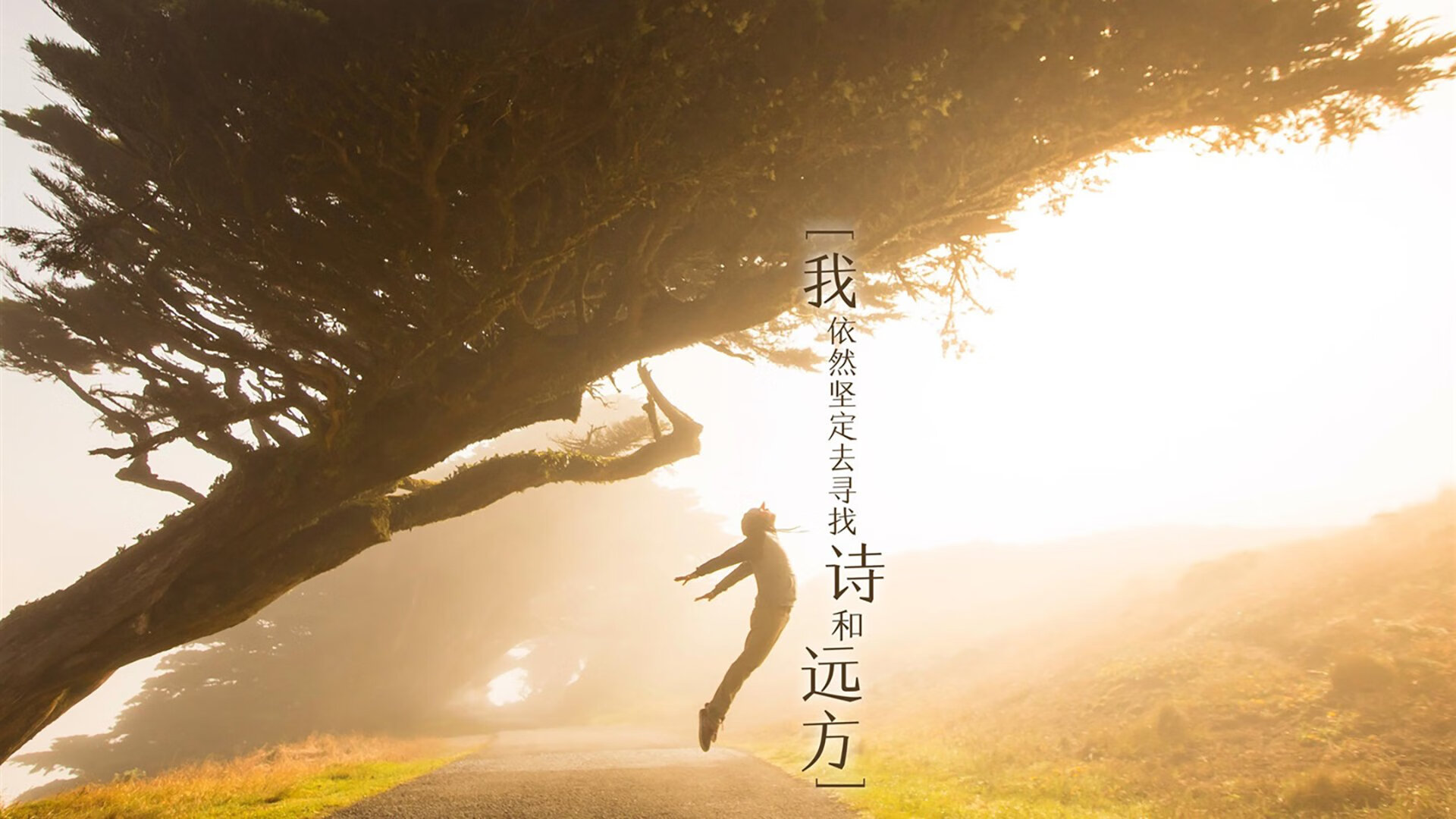 2026，历史的回响—当碾压成为唯一答案，法国与英格兰的宿命重演