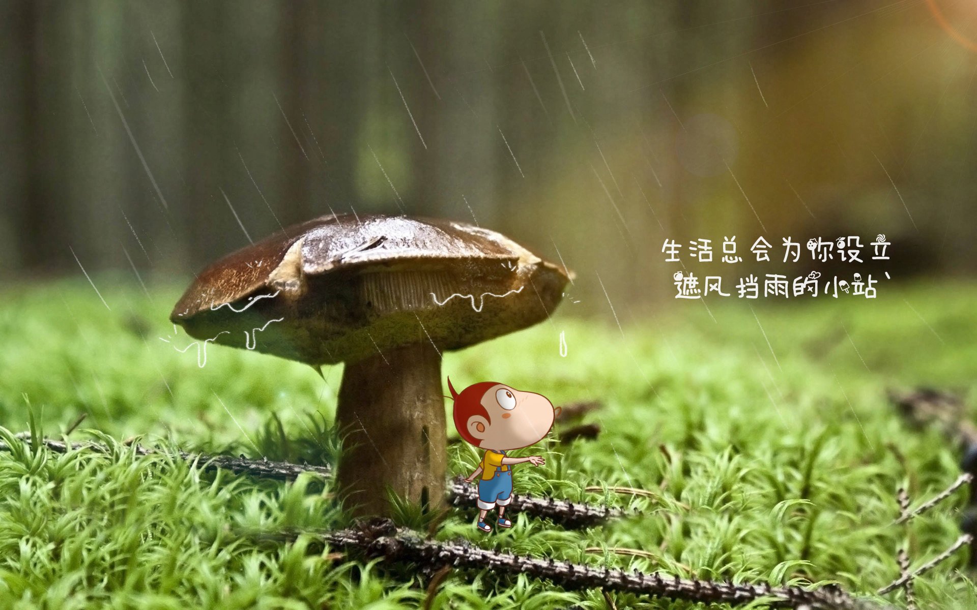 蓝白与橙黄的唯一叙事,2026世界杯A组,哥伦比亚完胜印度,C罗的最后一舞仍在高歌