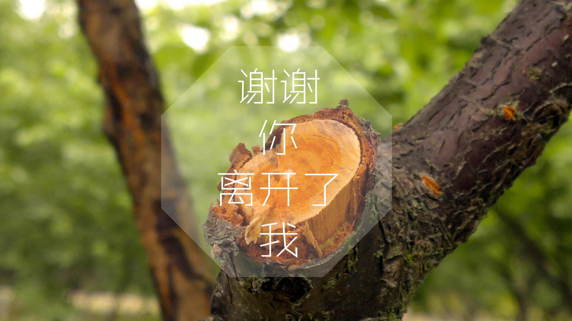 唯一的主宰，当喀麦隆的钢铁防线与格列兹曼的致命一击，在2026世界杯B组写下唯一答案