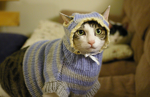 极光破红魔,当冰岛战吼撕裂欧洲红魔,孙兴慜在F组掀起亚洲风暴